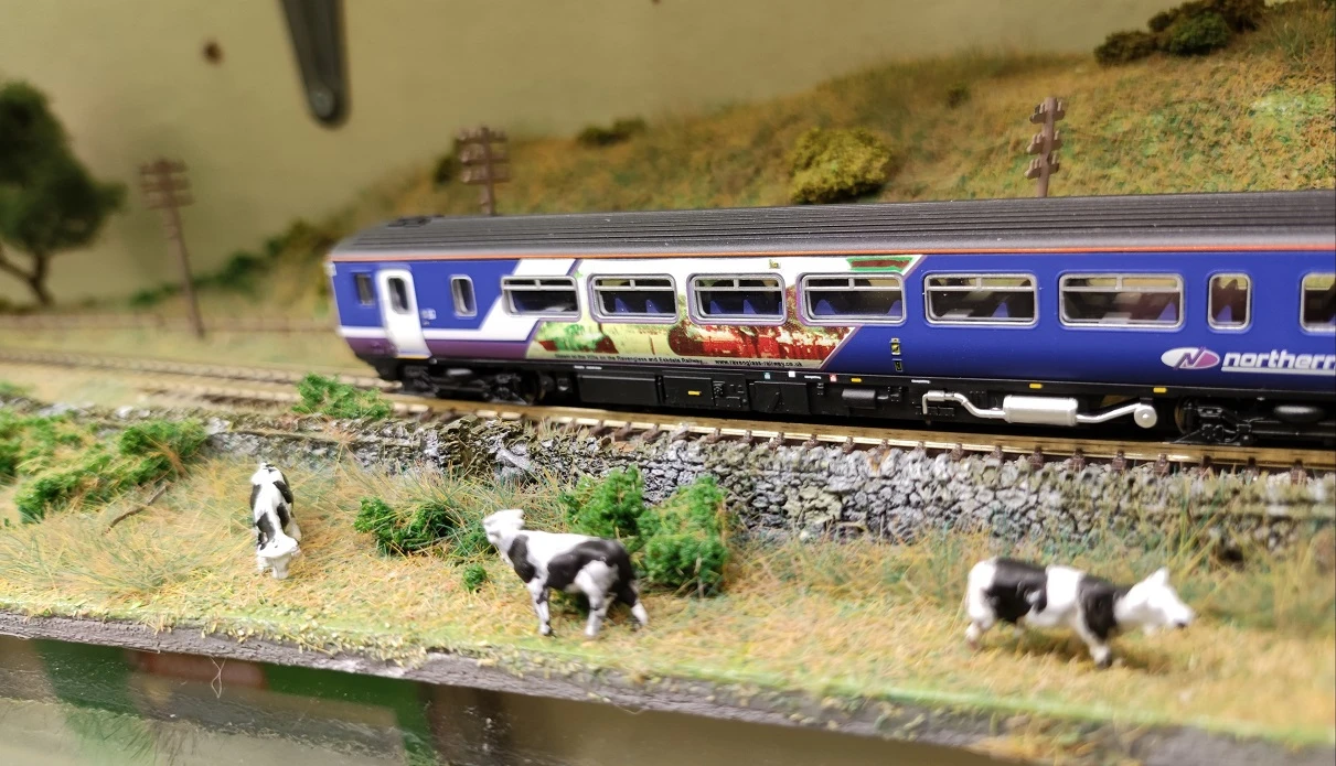 DAPOL 2D-021-005 CLASS 156 461 NORTH RAVENGLASS & ESKEDALE 5 DAPOL 2D-021-005 CLASS 156 461 NORTH RAVENGLASS & ESKEDALE - Image 3