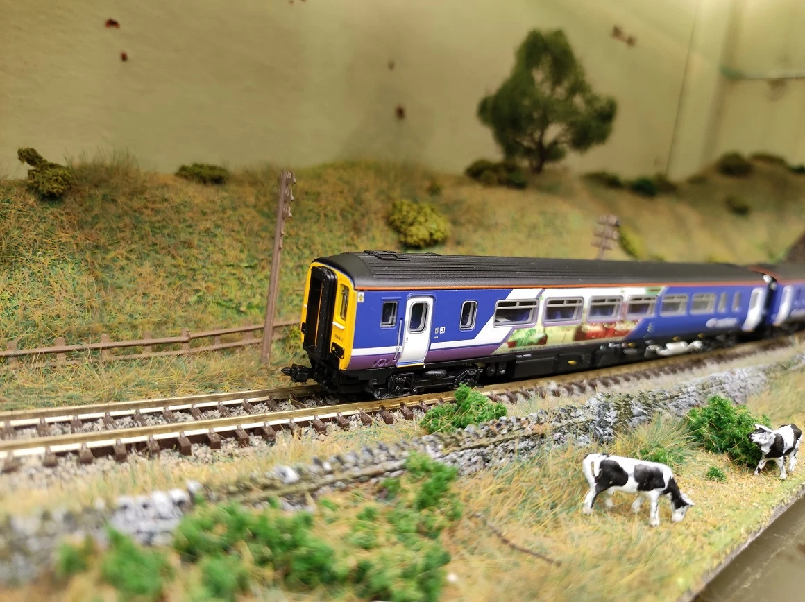 DAPOL 2D-021-005 CLASS 156 461 NORTH RAVENGLASS & ESKEDALE 3 DAPOL 2D-021-005 CLASS 156 461 NORTH RAVENGLASS & ESKEDALE